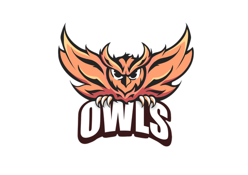 OWLS BASKETBALL ACADEMY